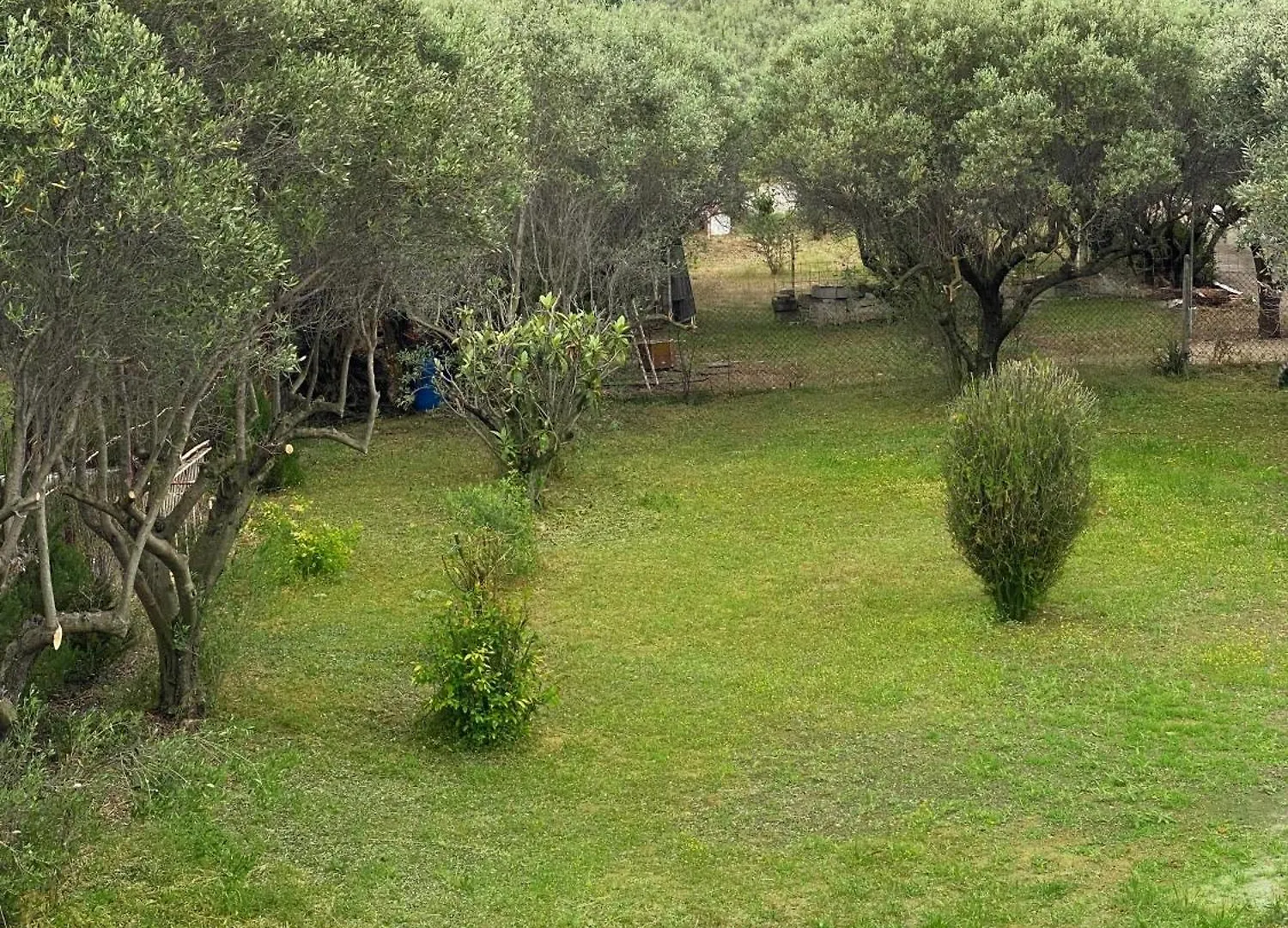 Mediterranean Escape Flogita 0*,